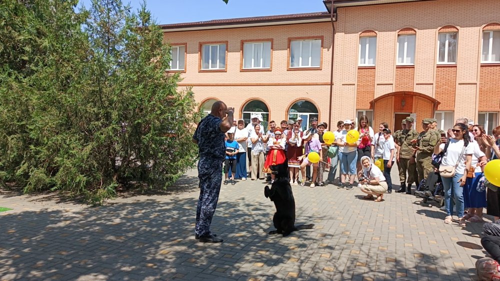 img (7)